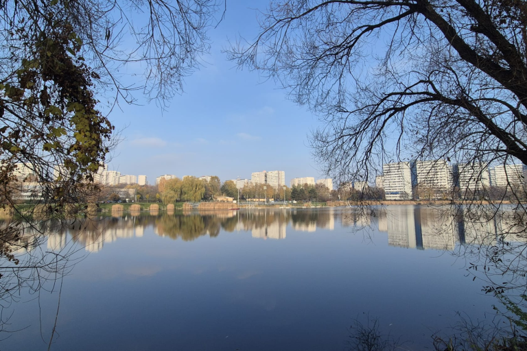 Staw Maroko – spokojna przestrzeń na osiedlu Tysiąclecia
